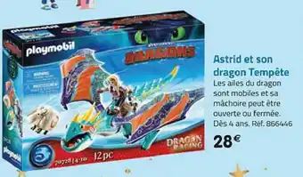 Astrid et son dragon Tempête