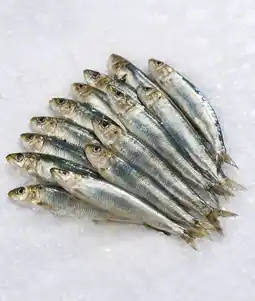 Carrefour Sardine offre