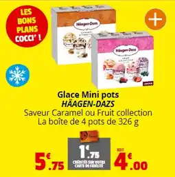 Coccinelle Express Glace Mini pots HÄAGEN-DAZS offre