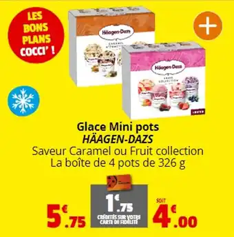 Coccinelle Express Glace Mini pots HÄAGEN-DAZS offre