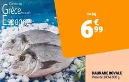 Auchan DAURADE ROYALE offre