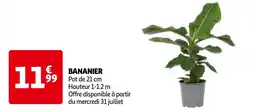 BANANIER