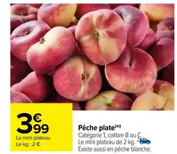 Carrefour Pêche plate(m) offre