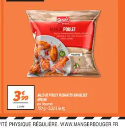 Netto AILES DE POULET PIQUANTES SURGELÉES offre