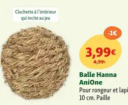 Maxi Zoo AniOne Balle Hanna offre