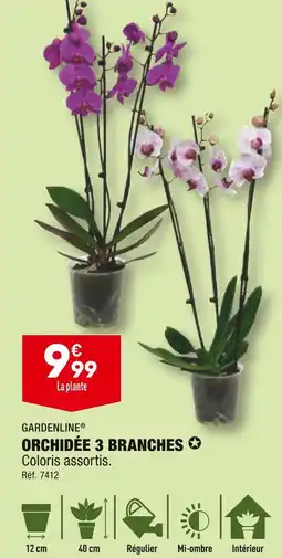 ALDI GARDENLINE ORCHIDÉE 3 BRANCHES offre