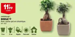ALDI GARDENLINE BONSAI offre