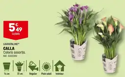 ALDI GARDENLINE CALLA offre
