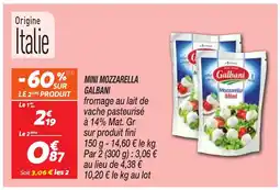 Netto GALBANI MINI MOZZARELLA offre