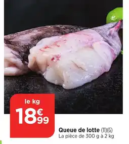 Bi1 Queue de lotte offre