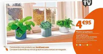 Jardiland Plantes Graphiques : Le Pot 10,5 Cm Avec Cache-pot En Céramique offre