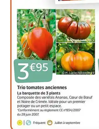 Jardiland Trio Tomates Anciennes offre