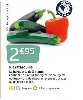 Jardiland Kit Ratatouille offre