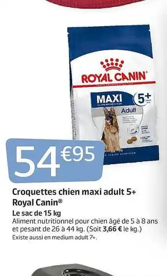 Jardiland Croquettes Chien Maxi Adult 5+ Royal Canin offre