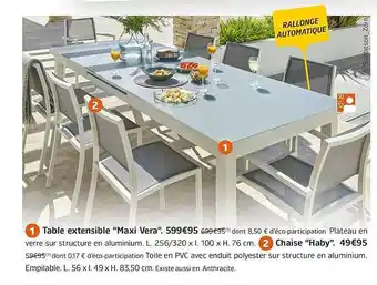 Jardiland Table Extensible offre