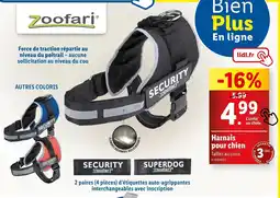 Lidl Harnais pour chien offre