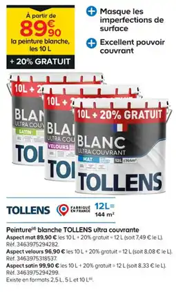 Castorama Peinture(d) blanche TOLLENS ultra couvrante offre