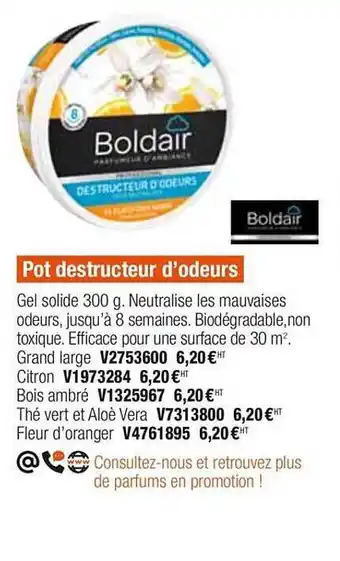 Plein ciel Pot Destructeur D'odeurs Boldair offre