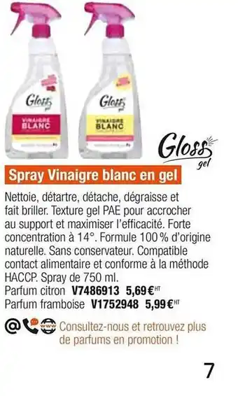 Plein ciel Spray Vinaigre Blanc En Gel Gloss Gel offre
