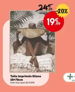 Maxi Bazar Toile imprimée Eliane offre