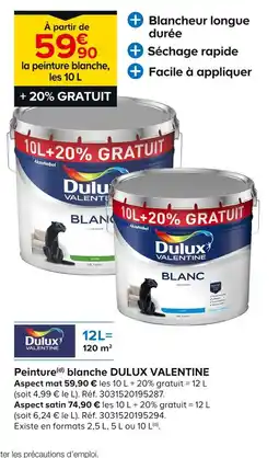 Castorama DULUX VALENTINE Peinture(d) blanche offre