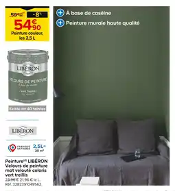 Castorama LIBÉRON Peinture(d) Velours de peinture mat velouté coloris vert treillis offre