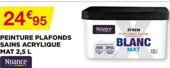 Bricomarché Peinture Plafonds Sains Acrylique Mat 2,5 L Nuance offre