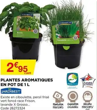 Bricomarché Plantes Aromatiques En Pot De 1 L Jardibest offre