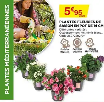 Bricomarché Plantes Fleuries De Saison En Pot De 14 Cm offre