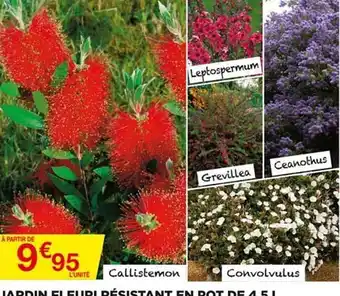 Bricomarché Jardin Fleuri Résistant En Pot De 45 L offre