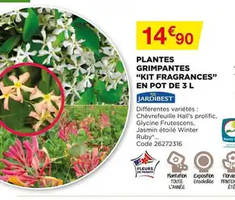 Plantes Grimpantes