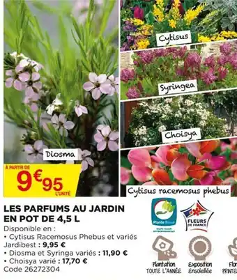 Bricomarché Les Parfums Au Jardin En Pot De 4,5 L offre