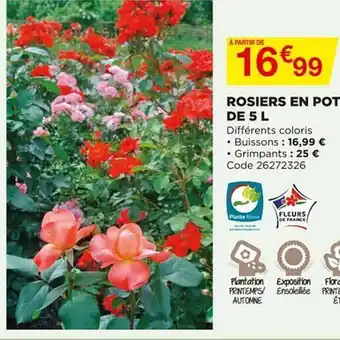 Bricomarché Rosiers En Pot De 5 L offre