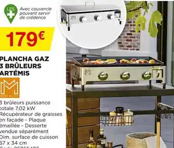Bricomarché Plancha Gaz 3 Brûleurs Artémis offre