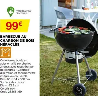 Bricomarché Barbecue Au Charbon De Bois Héraclès offre