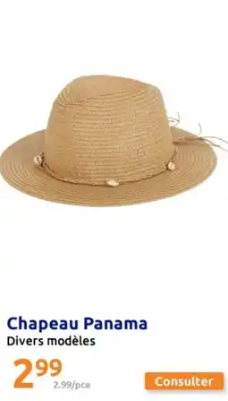 Action Chapeau Panama offre