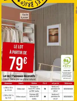 Bricorama Lot de 2 Panneaux décoratifs offre