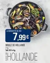 Match Moule de hollande offre