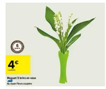 Carrefour Muguet 5 Brins En Vase offre