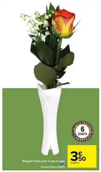Carrefour Muguet 3 Brins Ave 1 Rose En Vase offre