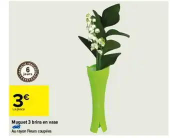 Carrefour Muguet 3 Brins En Vase offre