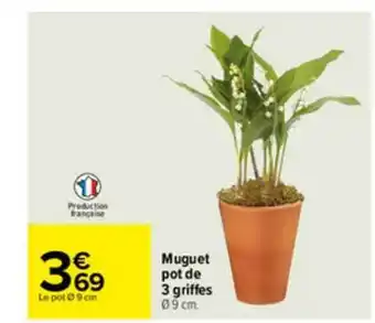 Carrefour Muguet Pot De 3 Griffes offre