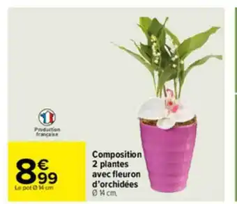 Carrefour Composition 2 Plantes Avec Fleuron D'orchidées offre