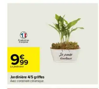 Carrefour Jardinière 4-5 Griffes offre