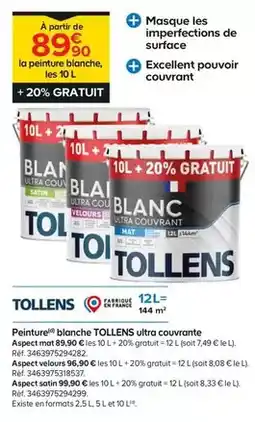 Castorama Tollens - peinture blanche ultra couverante offre
