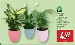 Colruyt Leffe - bière blonde offre