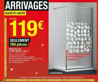 Brico Dépôt Paroi walk-in stone miroir 100 cm offre