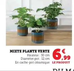 Super U MIXTE PLANTE VERTE offre