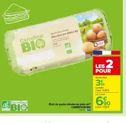 Carrefour Œufs de poules élevées en plein air offre