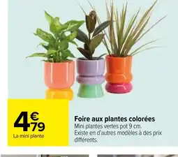 Carrefour Foire aux plantes colorées offre